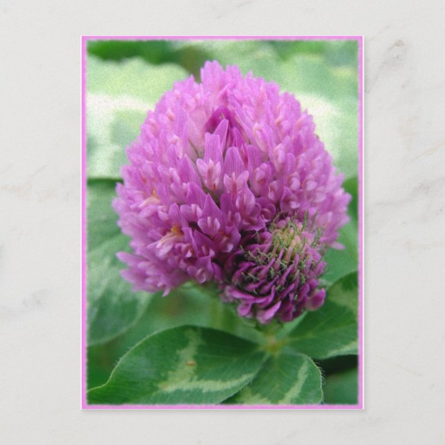 Carte Postale Art du vêtement (Devant)