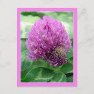 Carte Postale Art du vêtement