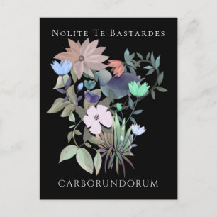 Carte Postale Art féministe Nolite Te Bastardes Carborundorum