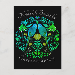Carte Postale Art féministe Nolite Te Bastardes Carborundorum