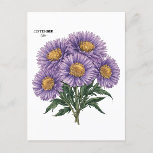 Carte Postale Art floral personnalisé Aster du mois de naissance