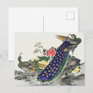Carte Postale Art japonais, Peacock et Peony par Numata Kashu