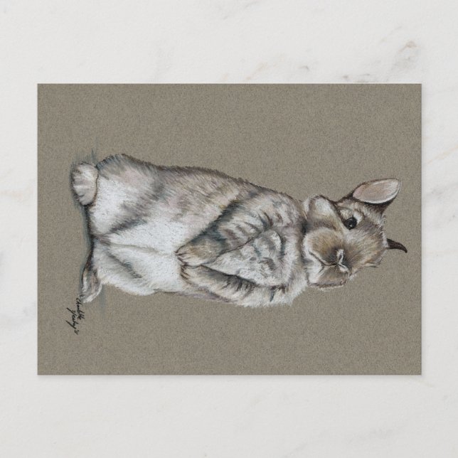 Carte postale Art lapin assis (Devant)