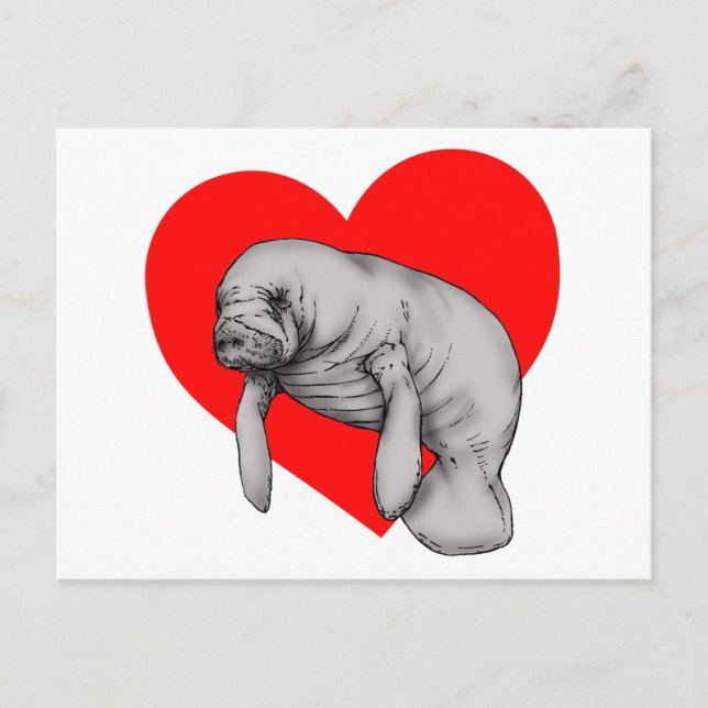 Carte Postale art manatee (Devant)