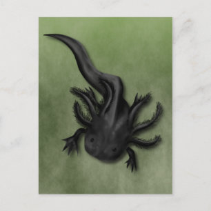 Carte Postale Art Melanoïde Axolotl