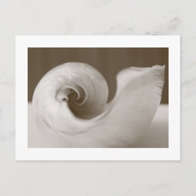 Carte Postale Art moderne (Devant)