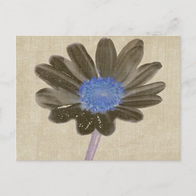 Carte postale Art numérique de marguerite (Devant)