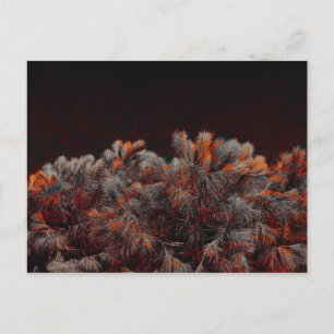 Carte Postale Art numérique de pin avec taches de couleur orange