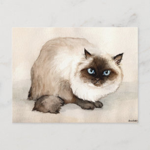 Carte postale Art Original Chat Himalayan