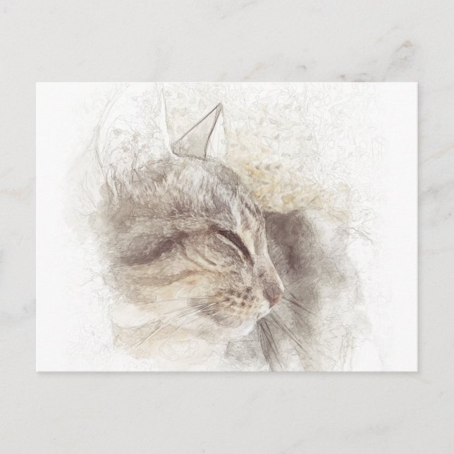 Carte Postale Art Peacy Cat numérique dessin de crayon pacifique (Devant)