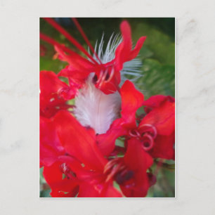 Carte Postale Art Pétale Rouge