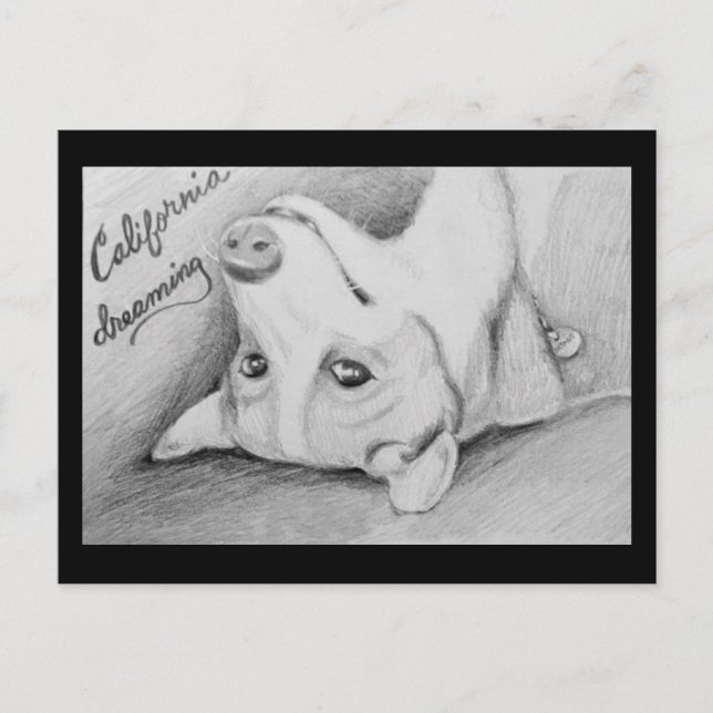 Carte Postale Artaius le Corgi (Devant)