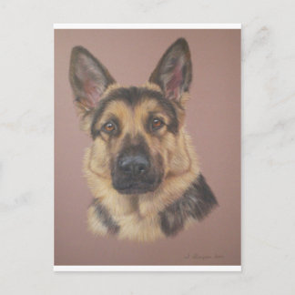 Carte Postale Arthur - Berger allemand