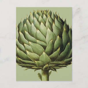 Carte Postale Artichoke, 1613