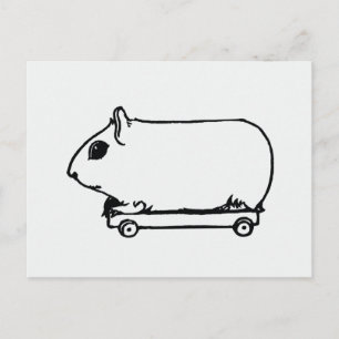 Carte postale artistique de cochon d'Inde sur skat