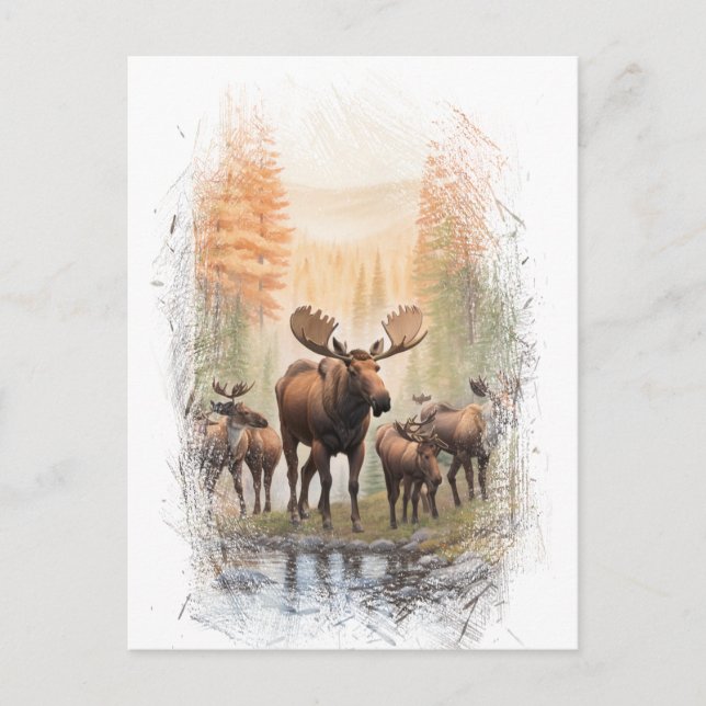 Carte Postale *~* Artsy AP49 MOOSE HERD Forest STREAM (Devant)