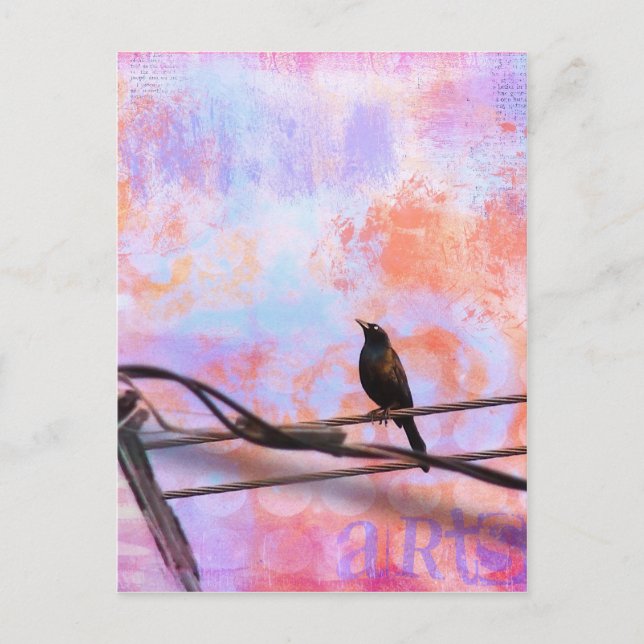 Carte Postale Artsy Grackle (Devant)