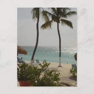 Carte Postale Aruba Baby Beach