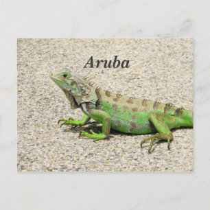 Carte Postale Aruba Green Iguana
