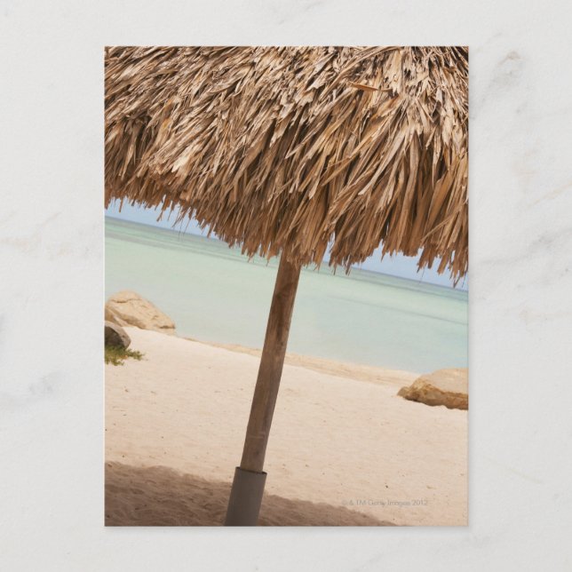 Carte Postale Aruba, palapa sur la plage (Devant)