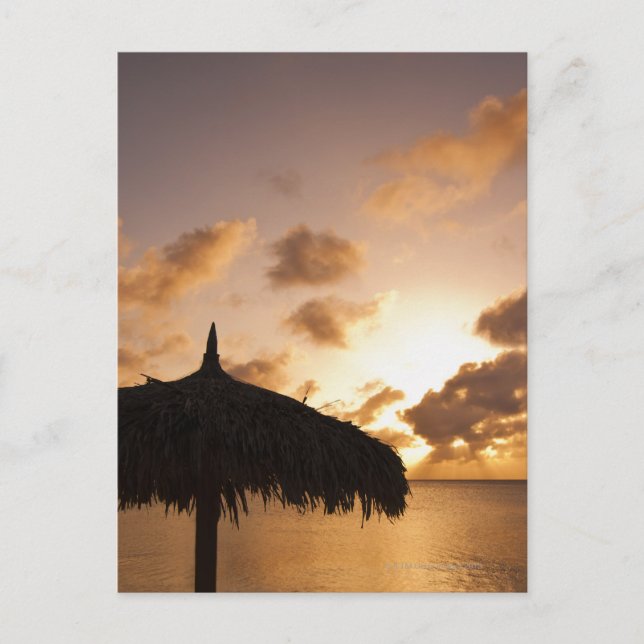 Carte Postale Aruba, silhouette de palapa sur la plage au couche (Devant)