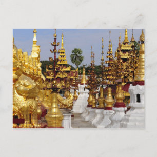 Carte Postale Asia, Myanmar (Burma), Bagan (Pagan). The Shwe 5