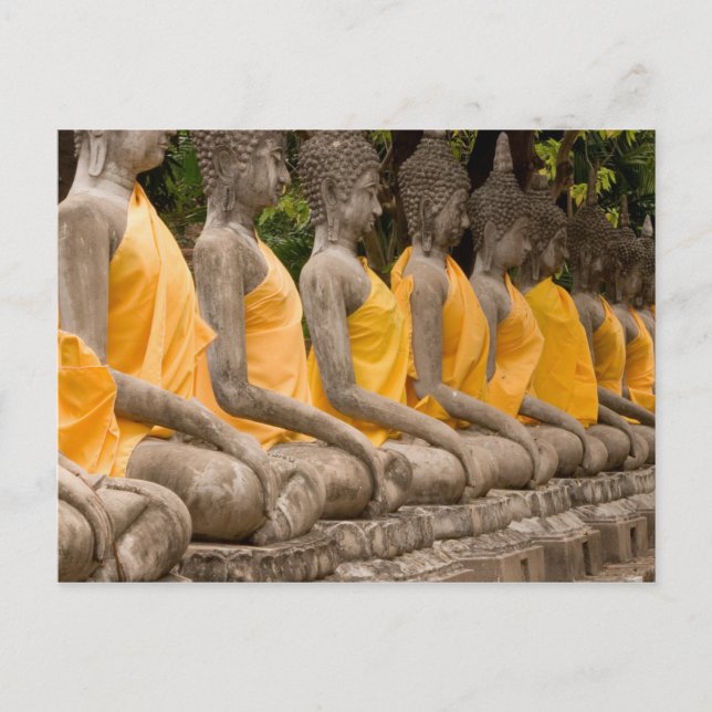 Carte Postale Asie, Thaïlande, Siam, Bouddhas à Ayutthaya (Devant)
