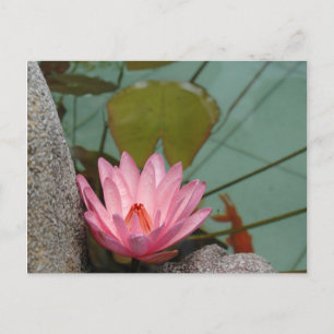 Carte Postale Asie, Vietnam. Lys d'eau dans un étang de temple