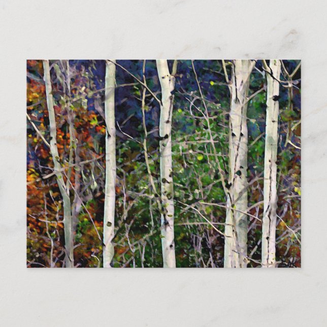 Carte Postale Aspen (Devant)