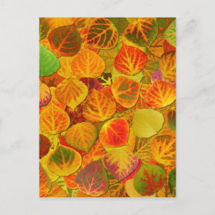 Carte Postale Aspen Feuilles Collage Solid Medley 1