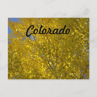 Carte postale Aspens