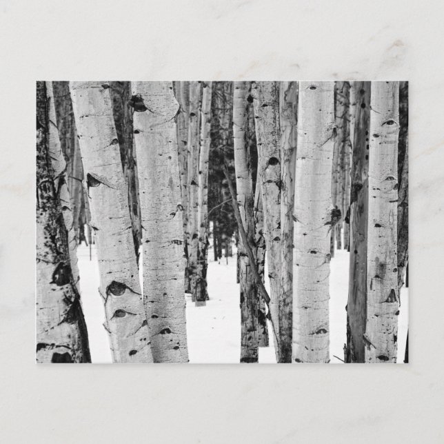 Carte Postale Aspens (Devant)