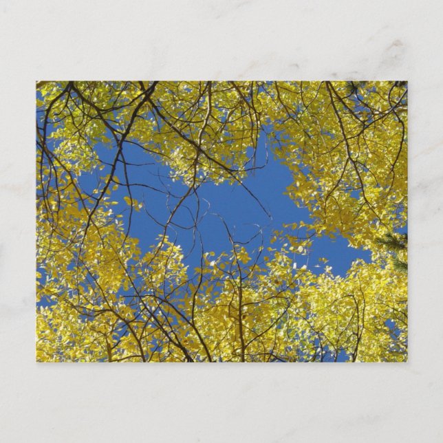Carte postale Aspens (Devant)