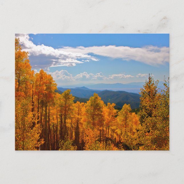 Carte Postale Aspens au Nouveau-Mexique (Devant)