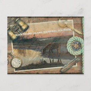 Carte postale Assateague/Chincoteague