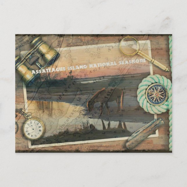 Carte postale Assateague/Chincoteague (Devant)