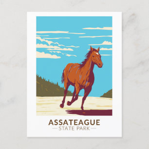 Carte Postale Assateague State Park Maryland Badge