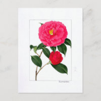 Assiette Camellia : Kumasaka