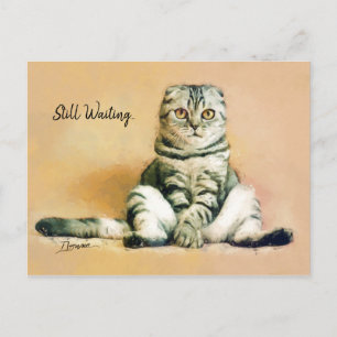 Carte Postale Assis de chat en attente   Je Vous Manque