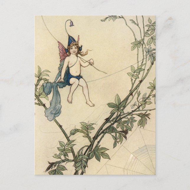 Carte Postale Assis sur le fil d'araignée (Devant)