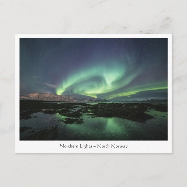 Carte Postale Astro-Photo auriculaire du Nord (Devant)