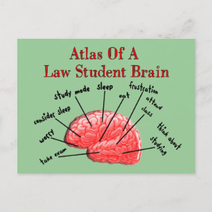 Carte Postale Atlas du cerveau étudiant en droit