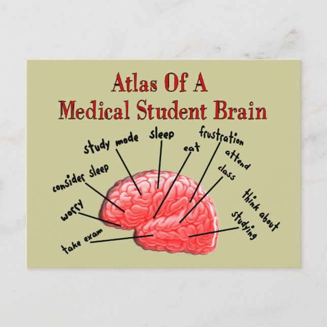 Carte Postale Atlas du cerveau Médicale des étudiants (Devant)