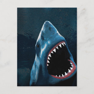 Carte Postale Attaque de requin