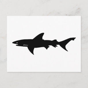 Carte Postale Attaque de requin - Plongée avec requins Élégant n