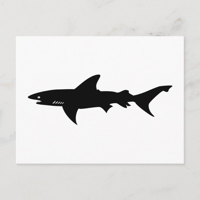 Carte Postale Attaque de requin - Plongée avec requins Élégant n (Devant)