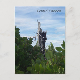 Carte Postale atteindre