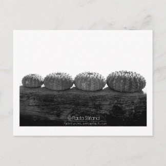 Carte Postale Attendre En Ligne