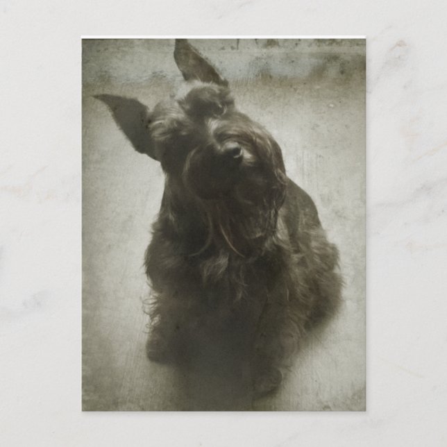 Carte Postale Attente (Devant)