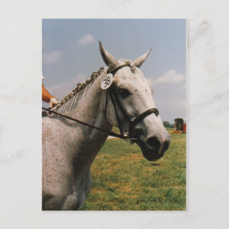 Carte Postale Attente d'exécution - Customisé